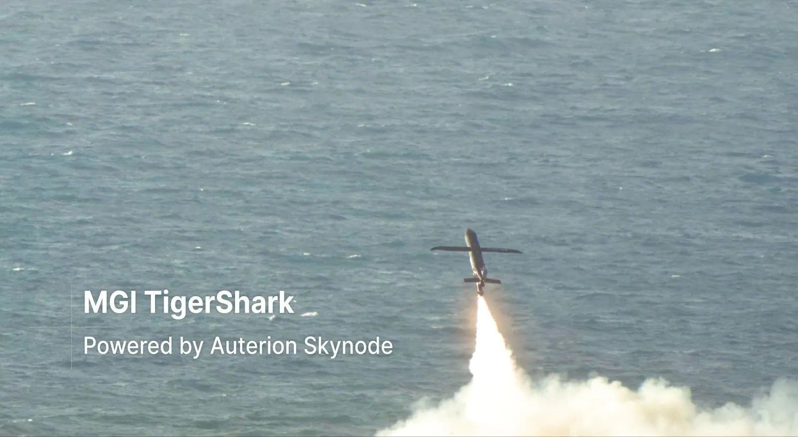 В Европе протестировали ударный дрон TigerShark с дальностью более 1000 км